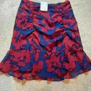 NWT 4S13NNA size small skirt from Nordstrom